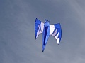 DSC00539