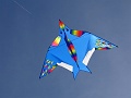 DSC00553
