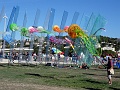 DSC00556