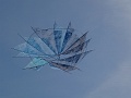 DSC00557