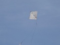 DSC00596