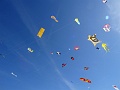 DSC00599