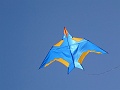DSC00602