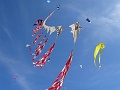 DSC00607