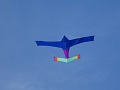 DSC00609
