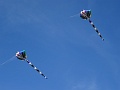DSC00625