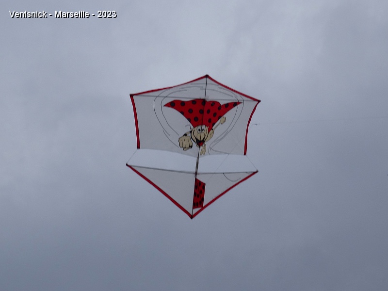 DSC03033.JPG - Une super coccinelle orne le Roller de Marc Mondin.