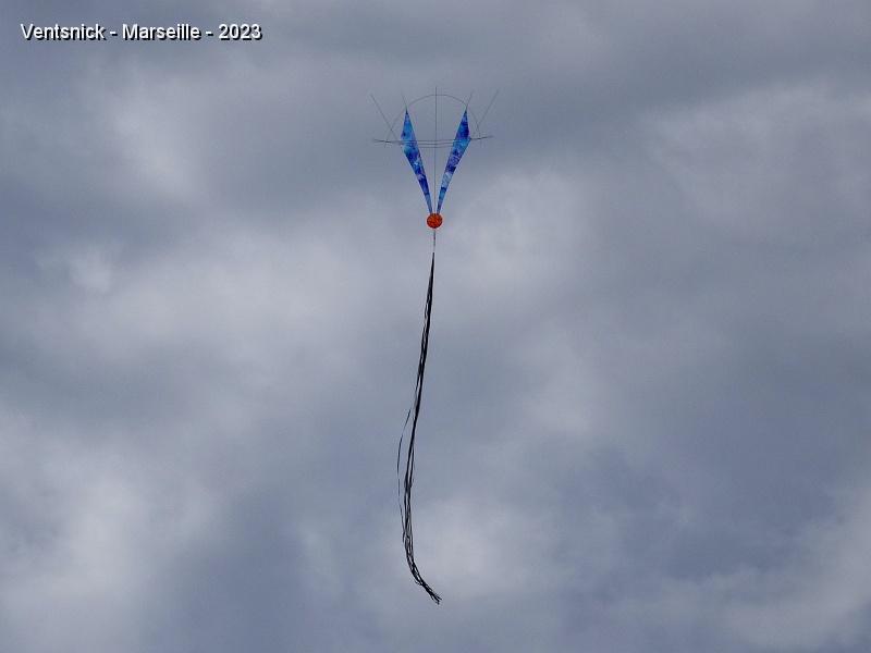 DSC03051.JPG - Toile peinte par Michel Gressier pour ce cerf-volant de Patrice Peigné, ...