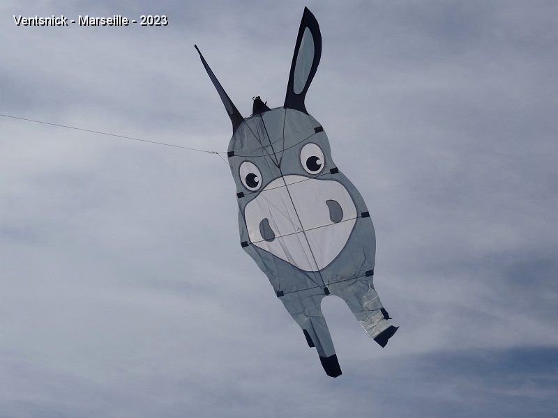 DSC03059.JPG - L'âne de Marie et de Patrick Noguier gambade dans le ciel ! ...