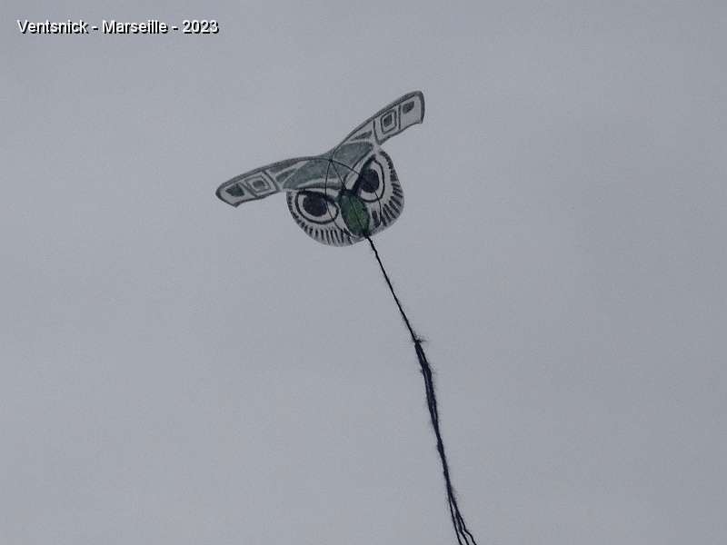 DSC03174.JPG - ... et là, un hibou de Bernard !