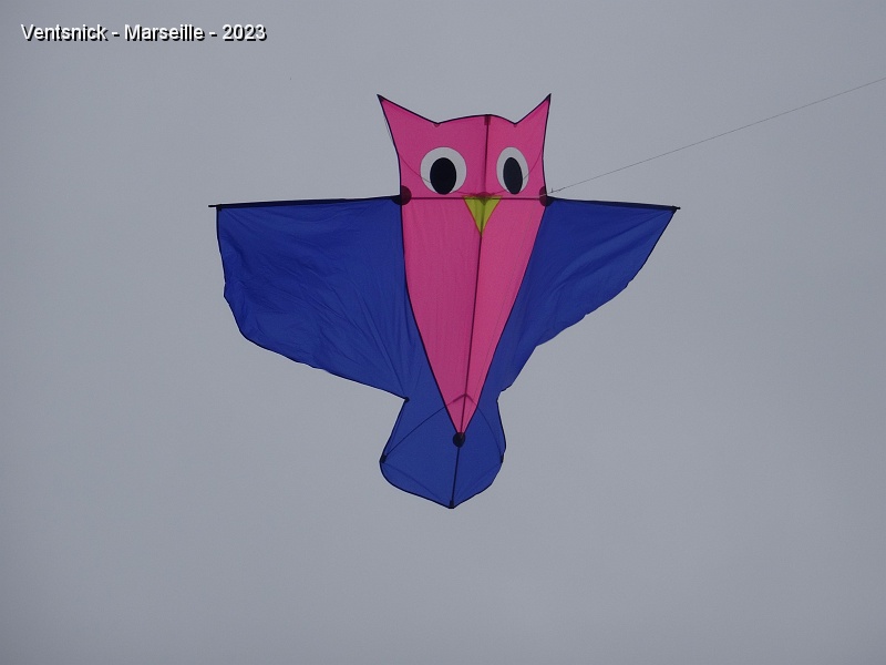 DSC03192.JPG - Hibou de Marianne Curty.