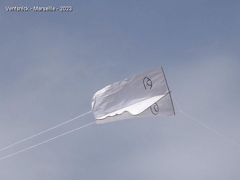 DSC03203.JPG - Le visage du Cerf-volant de Michel Sollin est équipé d'une quille au profil humain, voici une structure minimaliste au combien suggestive !