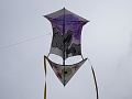 DSC03018