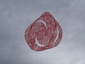 DSC03039