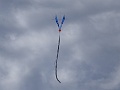 DSC03051