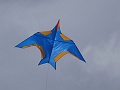 DSC03054