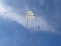 DSC03068