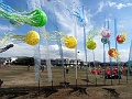 DSC03079