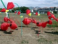 DSC03080