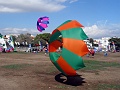 DSC03099