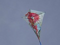 DSC03159