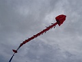DSC03172