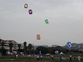 DSC03184