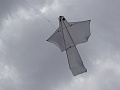 DSC03190