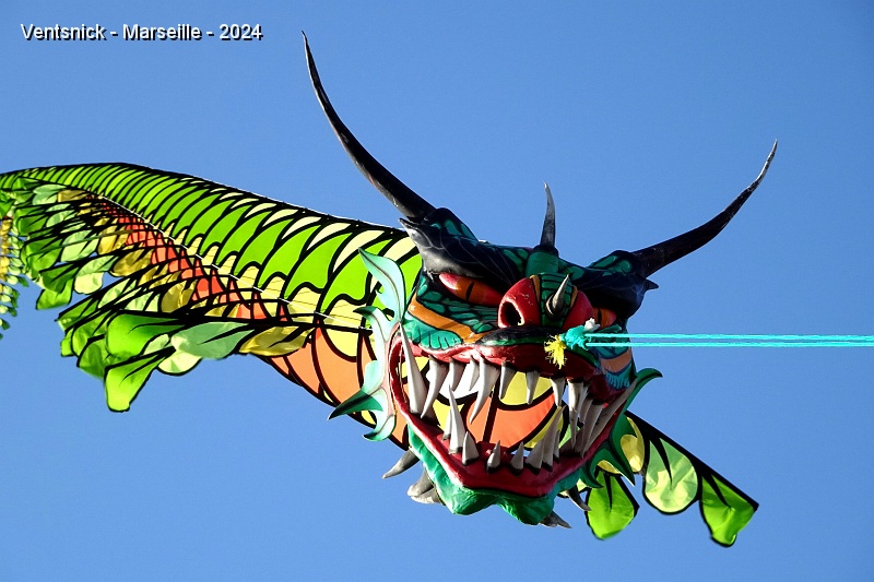 DSC02597.JPG - ... d'un dragon de 80 m de long ! (Photo Patrick Cousin)