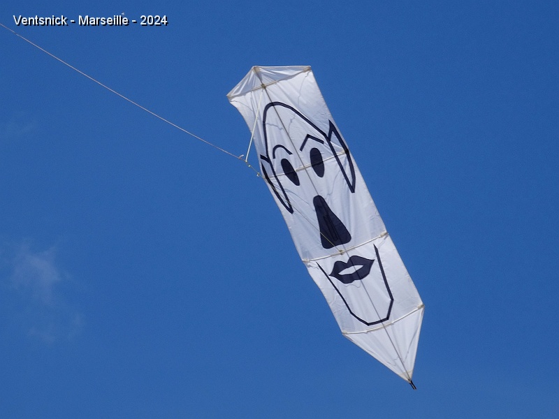 DSC05041.JPG - Marie Noguier est au bas de la ligne de ce cerf-volant.