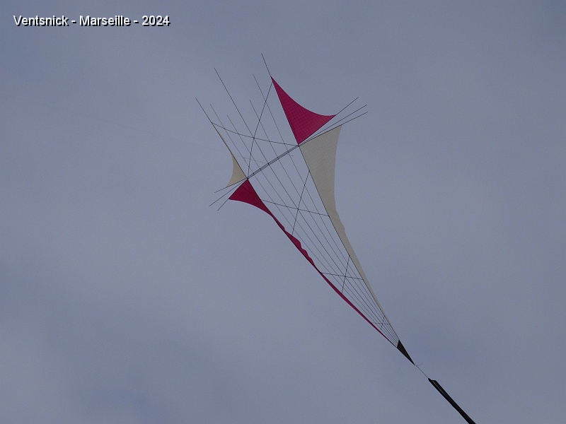 DSC05157.JPG - Cerf-volant épuré de Patrice Peigné.