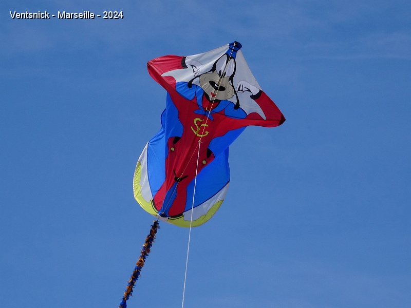 DSC05177.JPG - ... qui finit par bien se comporter dans le vent tumultueux avec une longue traine !