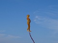 DSC05010