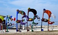 DSC05013