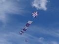 DSC05061
