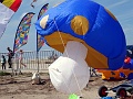 DSC05070