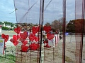 DSC05164