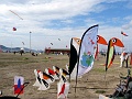 DSC05169