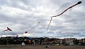 DSC05197