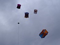 DSC05207