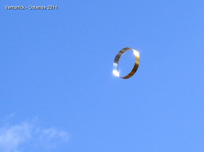 P5140059.jpg - Un circoflex doré, scintille au soleil, très haut dans le ciel.