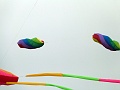 P1040142