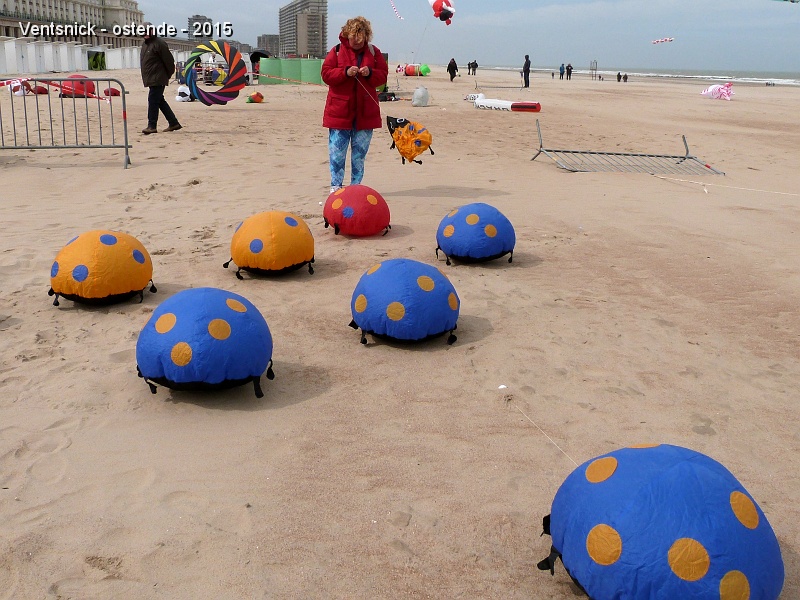P1130436.jpg - Geneviève installe nos coccinelles ...