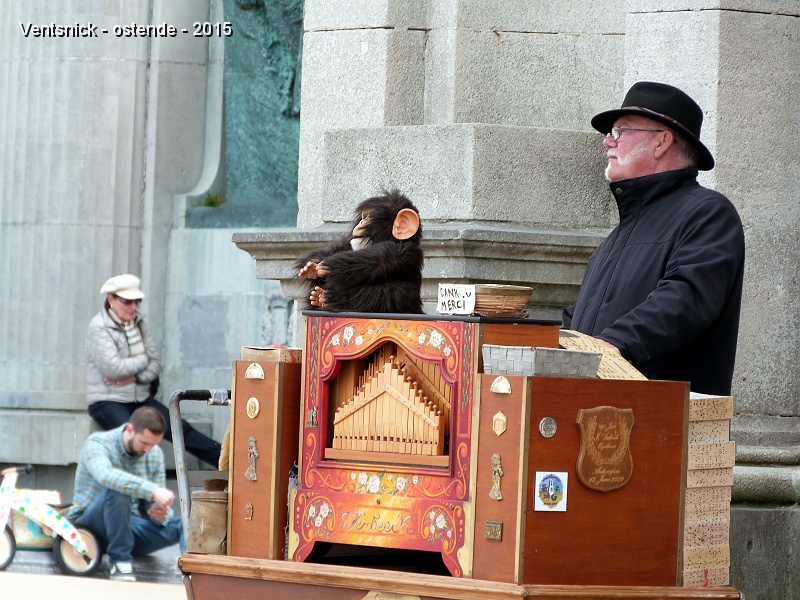P1130459.jpg - Un joueur d'orgue de barbarie distille ses mélodies sur l'esplanade ...