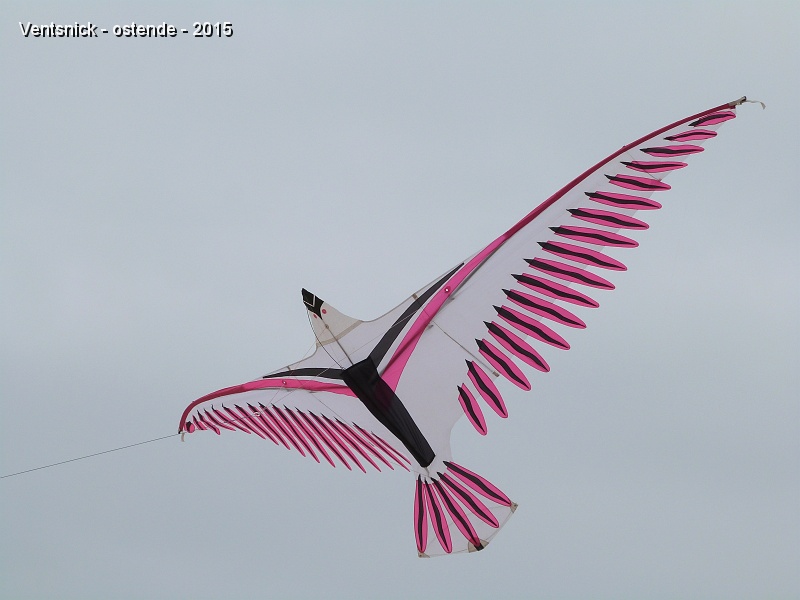 P1130537.jpg - Oiseau de Jean Gadomski.