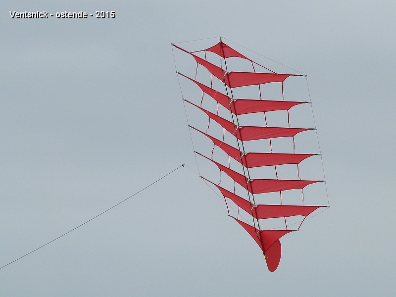 P1130541.jpg