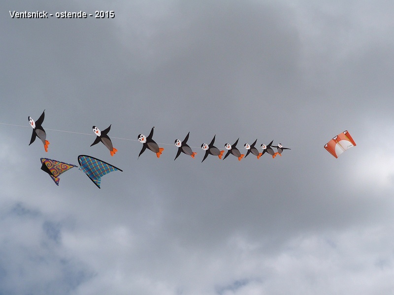 P1130598.jpg - Train de pingouins des Sky Flyers.