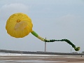 P1130402