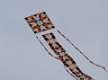 P1130417
