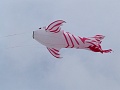 P1130423